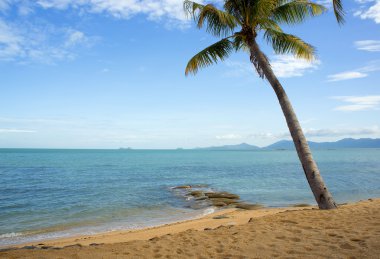Koh samui plajı