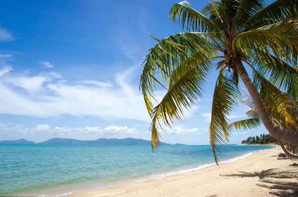 Plage île tropicale Photo De Stock