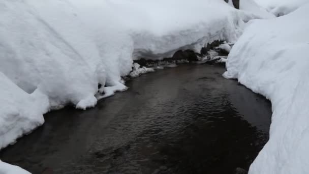 Neve-riacho — Vídeo de Stock