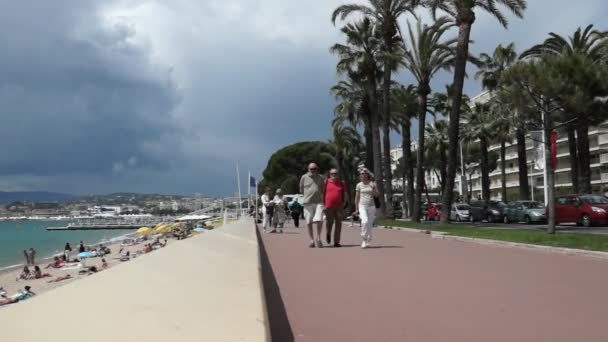 Cannes - Croisette Boulevard — Stockvideo