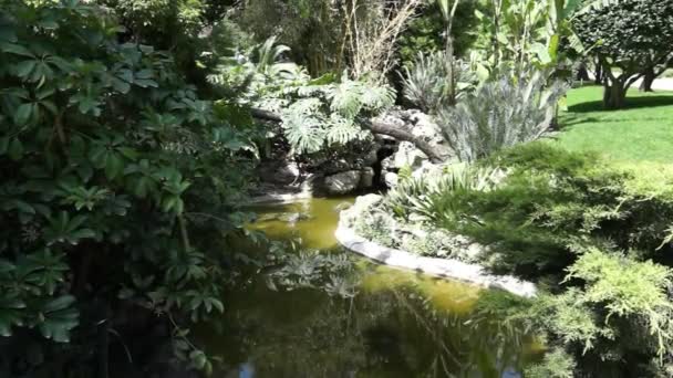 Monako-ogród — Wideo stockowe