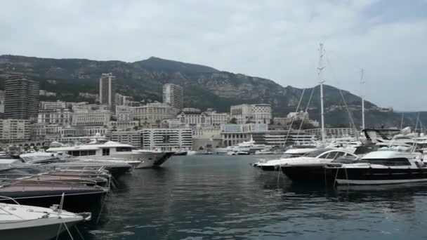 Monaco - harbour — Stock Video