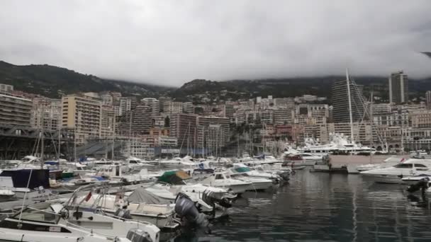 Monaco - harbour — Stock Video