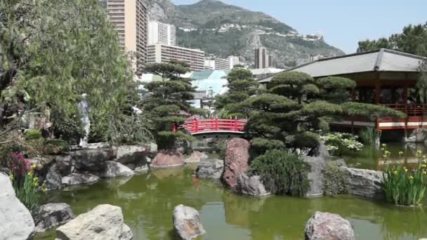 Монако - Японский сад — стоковое видео