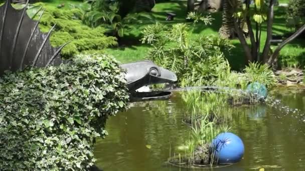 Monaco - Pond di taman Jepang — Stok Video