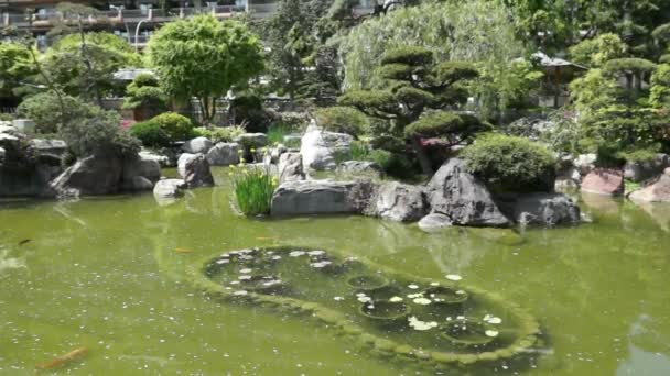 Monaco - Étang dans le jardin japonais — Video