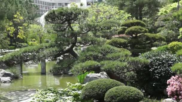 Монако - Пруд в японском саду — стоковое видео