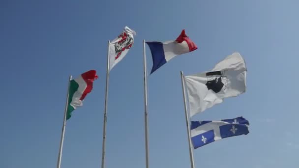 Banderas en Promenade des Anglais, Niza, Francia — Vídeo de stock