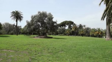 Nice şehrinin tropik parkı