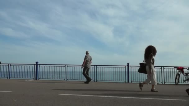 Niza - Promenade des Anglais — Vídeo de stock