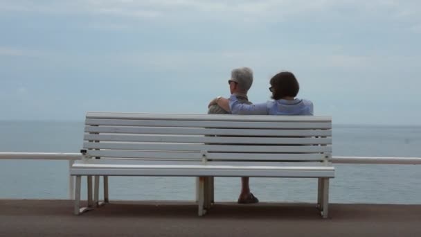 Nice - Senior couple sitting on the bench — Videoclip de stoc