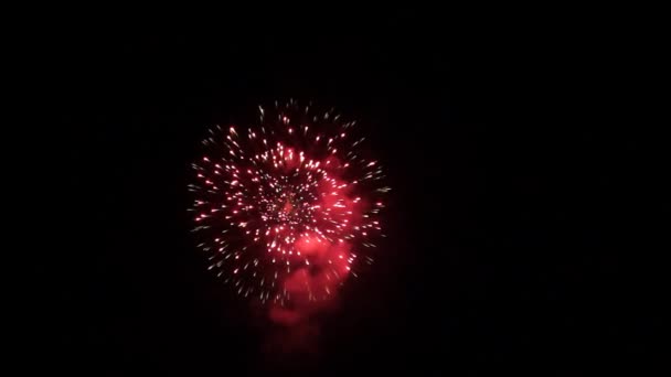 Feux d'artifice sur le ciel nocturne — Video