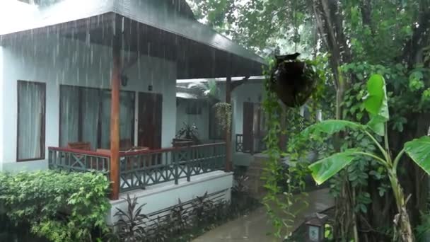 Tropikal yağmur yeşil bahçesinde bulunan villalar — Stok video