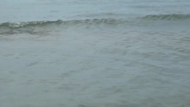 Vodní vlny na pláži — Stock video