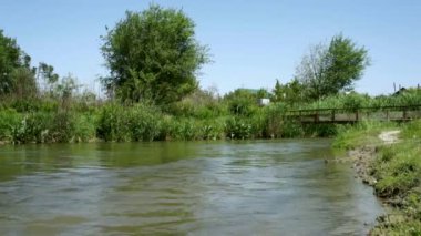 Flowing river and green reeds