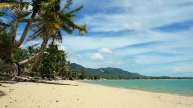 Tayland tropikal plaj ve Deniz Manzaralı