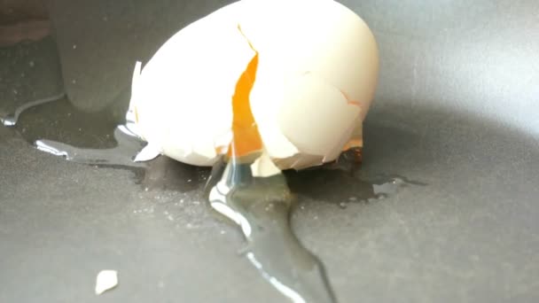 Одинарне яйце падає і розбивається — стокове відео