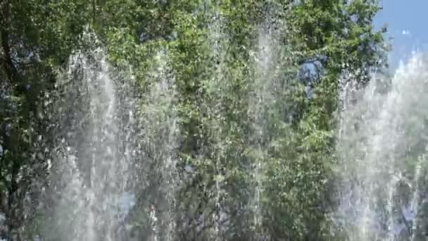 Fuente en el parque de la ciudad — Vídeos de Stock