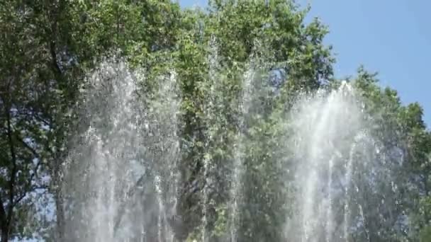 Fuente en el parque de la ciudad — Vídeo de stock