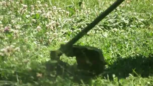 Cortando o gramado na primavera — Vídeo de Stock