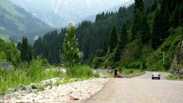 Route à travers le magnifique paysage montagneux des Alpes — Video