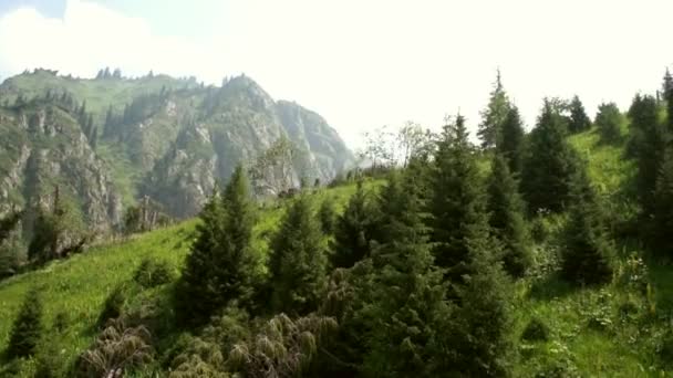 Beautiful mountains view from cable car — Stock Video