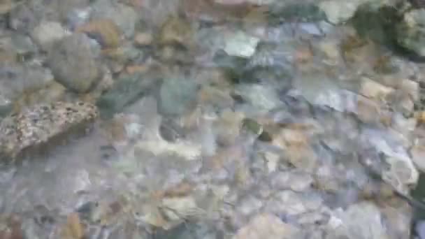 Ruisseau d'eau Montagne — Video