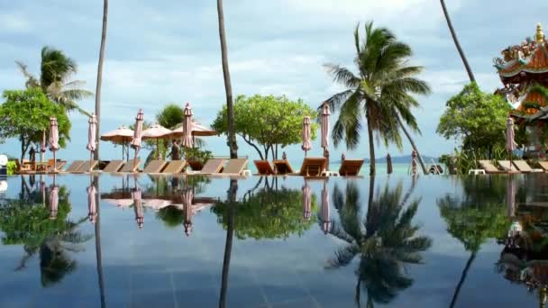 Piscine avec palmiers et parasols — Video