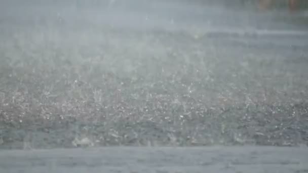 Zware regenval in de straat begin van de middag. — Stockvideo