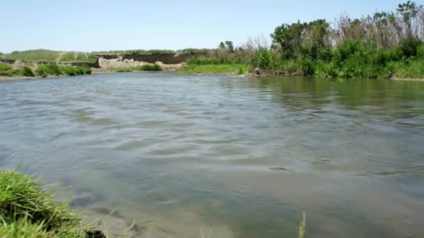 Flowing river and green reeds — Stock Video