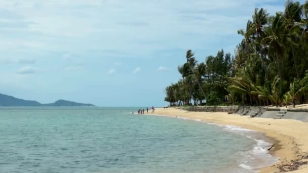 Scène tropicale en Thaïlande — Video