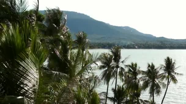 Cena tropical na Tailândia — Vídeo de Stock