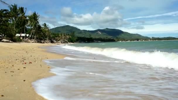 Mar tropical e praia — Vídeo de Stock