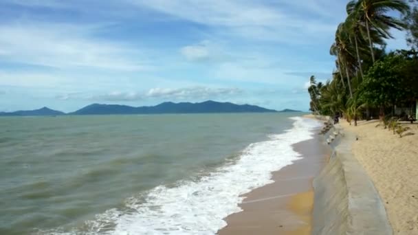 Тропическое море и пляж — стоковое видео