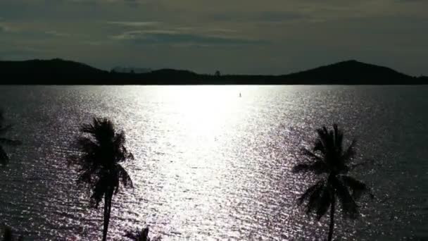 Vista tropicale sul mare di notte — Video Stock