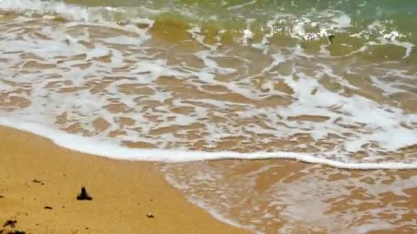 Ondas de água do mar tropicais tranquilas e praia de areia — Vídeo de Stock