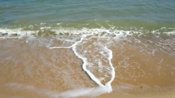 Tropical tranquil sea water waves and sand beach — Stock Video