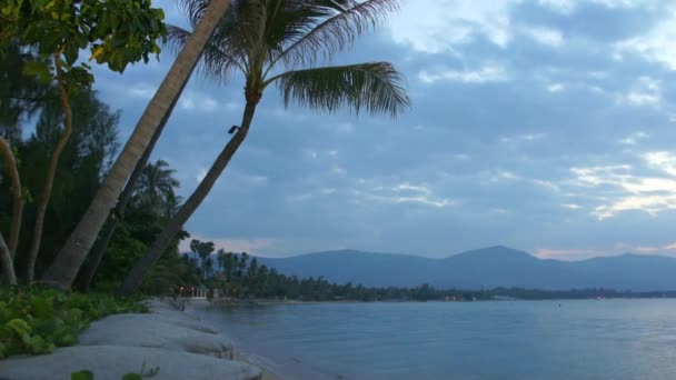 Palmiye ağaçları - ses ile tropikal deniz — Stok video