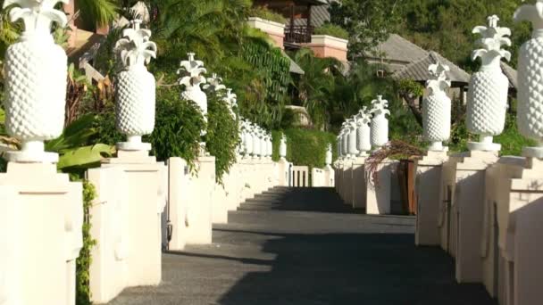 Villaggio tropicale e giardino sono terrazzati — Video Stock