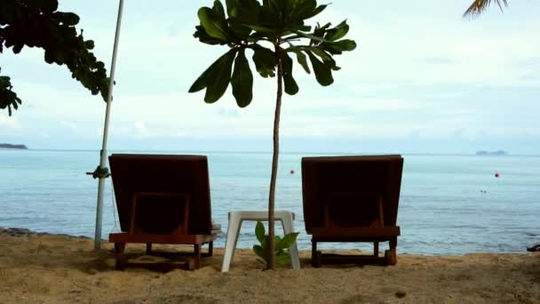 Dos tumbonas de madera bajo palmera en la playa — Vídeos de Stock