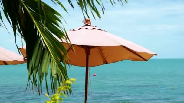 Vista sull'oceano con spiaggia ombrellone — Video Stock