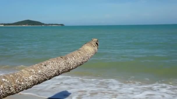 Vattenvågor på stranden — Stockvideo