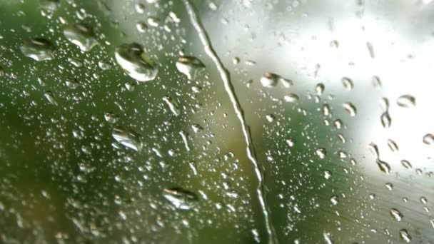 Window with falling raindrops — Stock Video