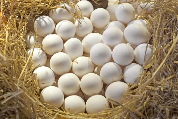 Chicken eggs — Stock Photo, Image