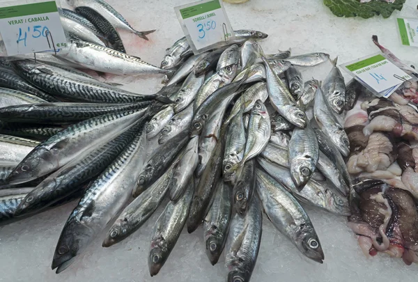 Fresh fish on display — Stock Photo, Image