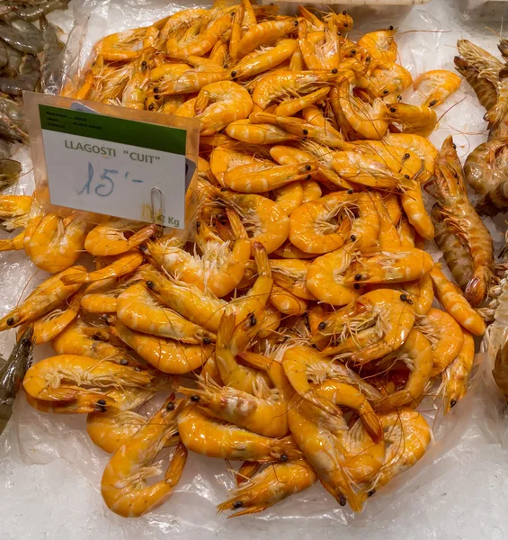 Cooked prawns on ice — Stock Photo, Image