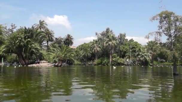 Taman Cytadela - timelapse — Stok Video
