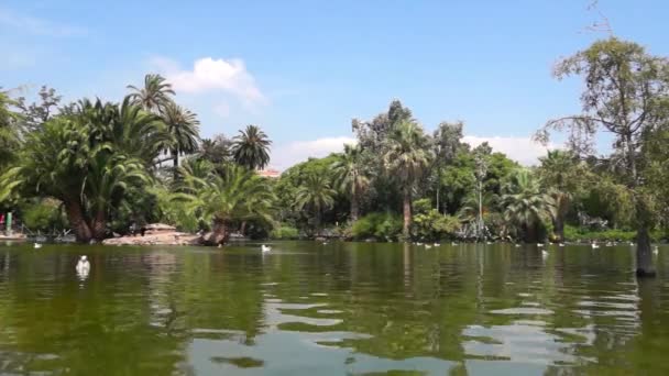 Barcelona'da Cytadela park — Stok video