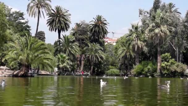 Barcelona'da Cytadela park — Stok video