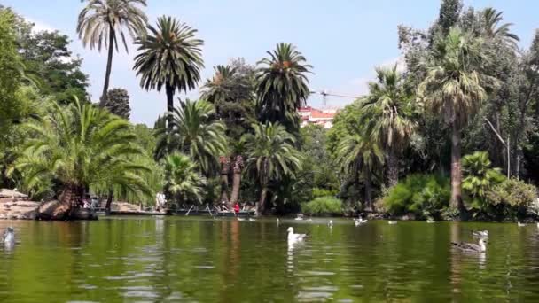 Cytadela park i Barcelona – stockvideo